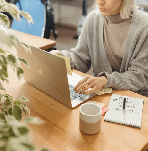 Noct Zarvia ilustrația echipei de suport